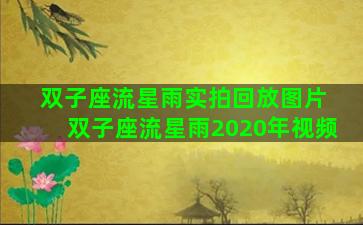双子座流星雨实拍回放图片 双子座流星雨2020年视频